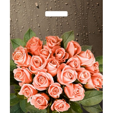 Сумка ПВД (выр.руч) 450*380 (60мкр) Розы после дождя 